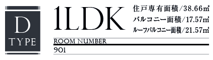 D Type 1LDK 38.66u