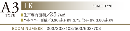 CType 1K 25.66㎡