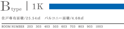 BType 1K 25.54u