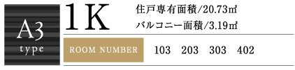 A3Type 1K 20.73㎡