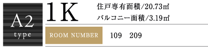 A2Type 1K 20.73㎡