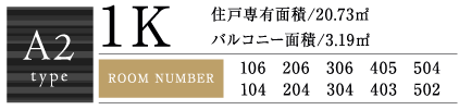 A2Type 1K 20.73㎡